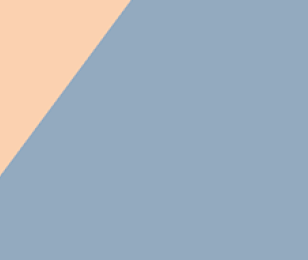 Bandeau Actualité Fond