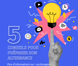5 conseils